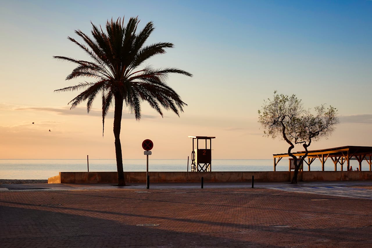 service-02 View of Cala Millor beach at sunset featuring a palm tree and lifeguard tower.